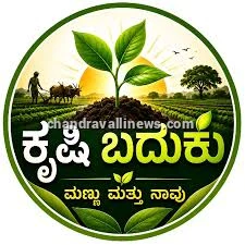 ಬೆಂಬಲ ಬೆಲೆ ಯೋಜನೆಯಡಿ ಸೂರ್ಯಕಾಂತಿ ಖರೀದಿ ಪ್ರಾರಂಭ
