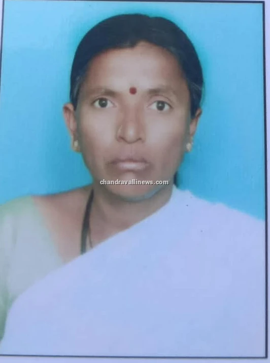 ಕಸ ವಿಲೇವಾರಿ ಘಟಕದ ಯಂತ್ರಕ್ಕೆ ಸಿಕ್ಕಿ ಮಹಿಳೆ ಸಾವು