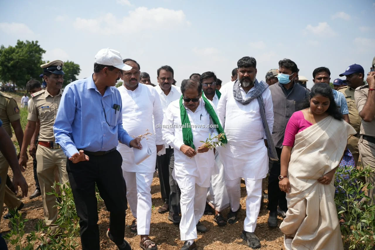 ಬರಪೀಡಿತ ಪ್ರದೇಶಗಳಲ್ಲಿ ಬೆಳೆ ಪರಿಶೀಲಿಸಿದ ಡಾ. ಜಿ. ಪರಮೇಶ್ವರ್: ರೈತರು ಮತ್ತು ಜಾನುವಾರುಗಳ ರಕ್ಷಣೆಗೆ ಸರ್ಕಾರ ಬದ್ಧ