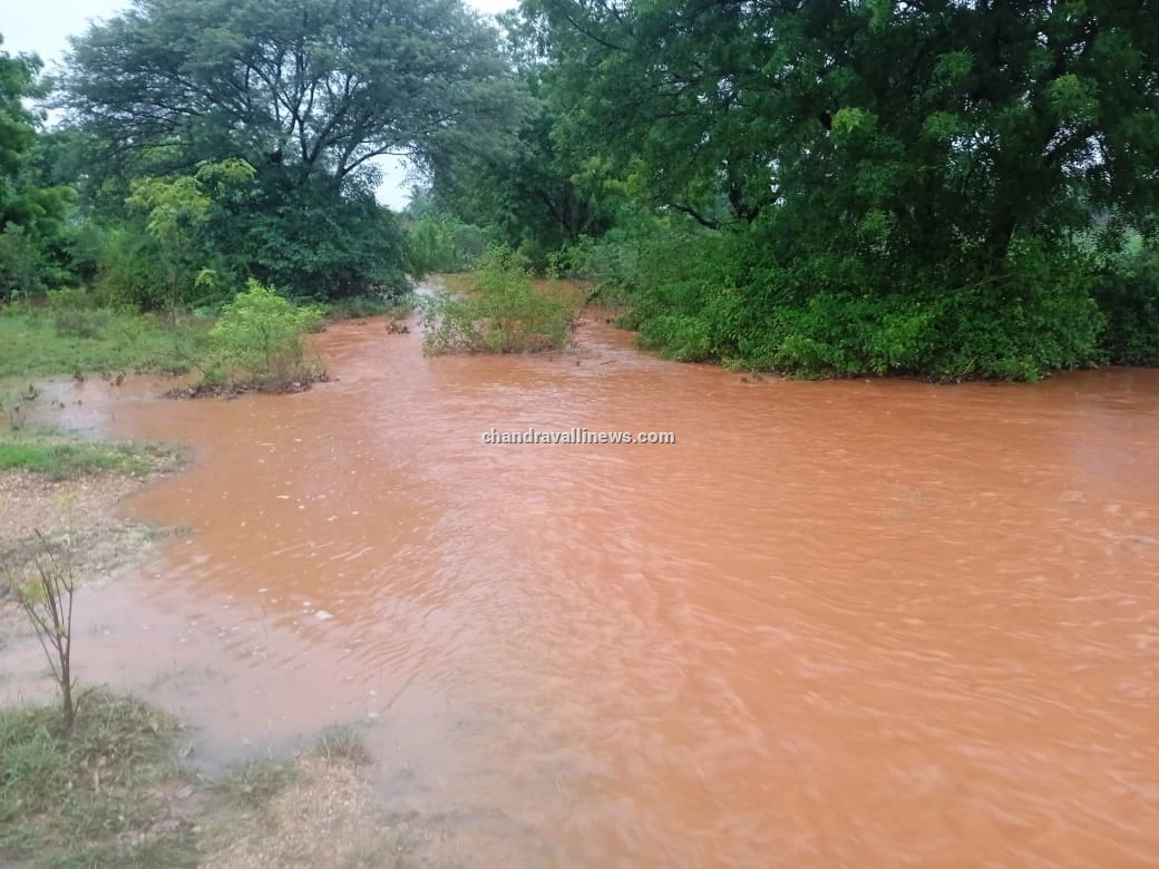 ರಾಜ್ಯದ ವಿವಿಧೆಡೆ ಧೋ ಅಂದ ಮಳೆ: ಅಕ್ಟೋಬರ್ 22ರವರೆಗೆ ‘ಯೆಲ್ಲೋ ಅಲರ್ಟ್’ ಘೋಷಣೆ!